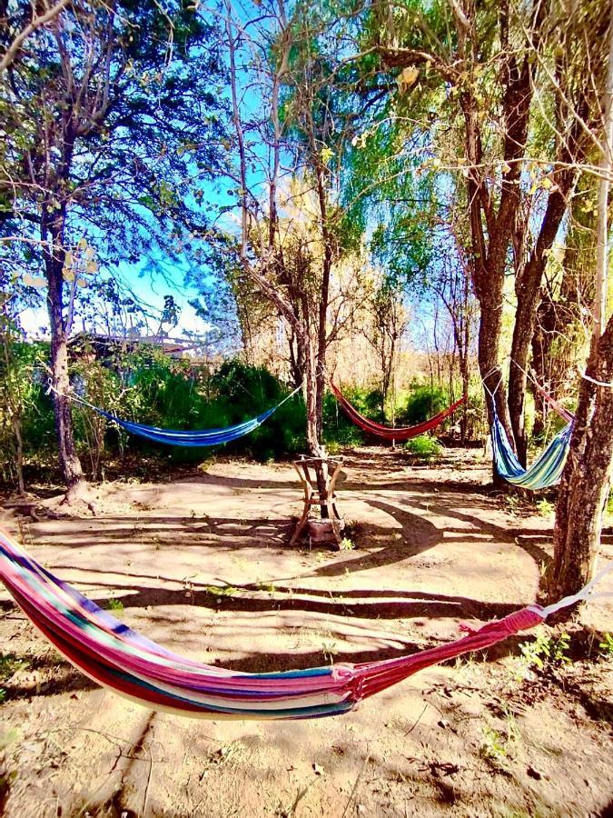 Suri Atacama - Eco H&T Konuk evi San Pedro de Atacama Dış mekan fotoğraf