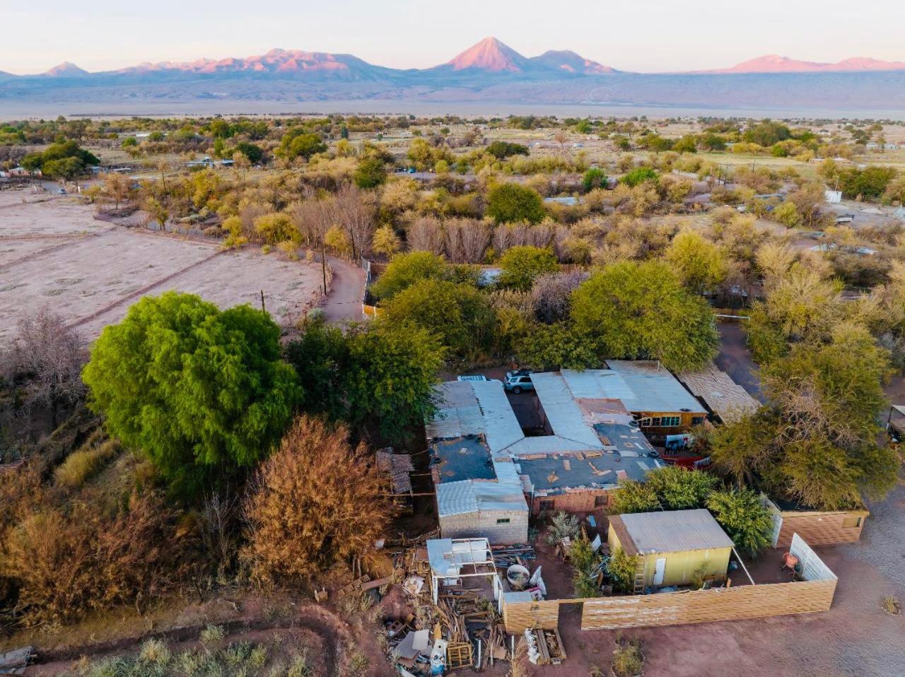 Suri Atacama - Eco H&T Konuk evi San Pedro de Atacama Dış mekan fotoğraf