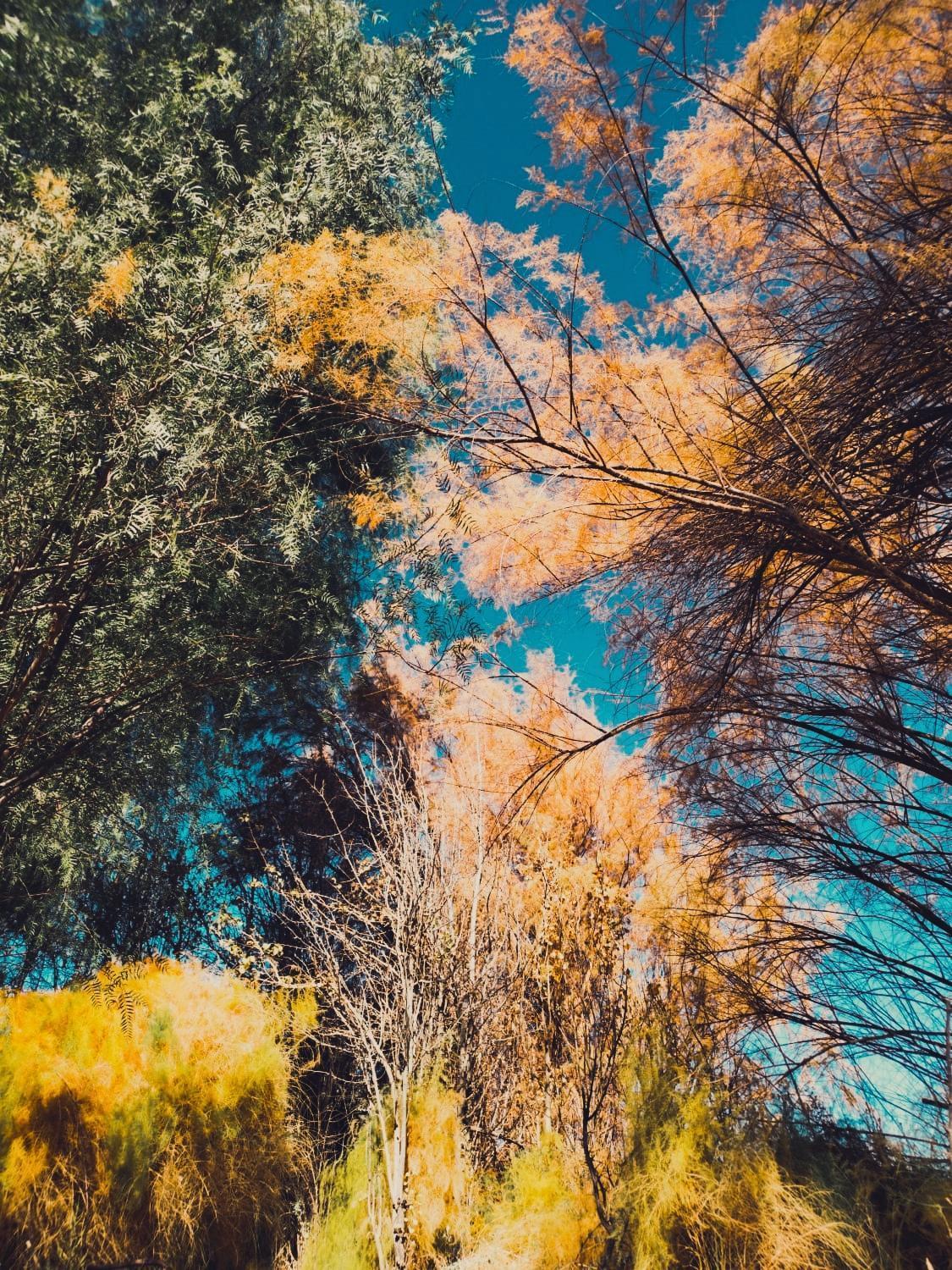 Suri Atacama - Eco H&T Konuk evi San Pedro de Atacama Dış mekan fotoğraf